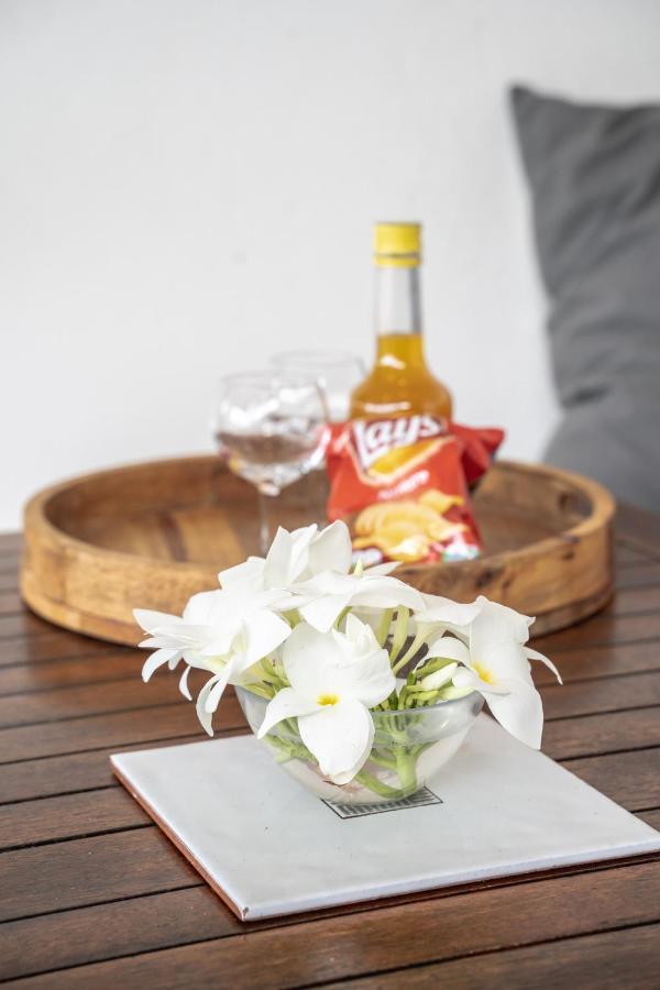 Bungalow Anse Figuier Terre-De-Haut Ngoại thất bức ảnh