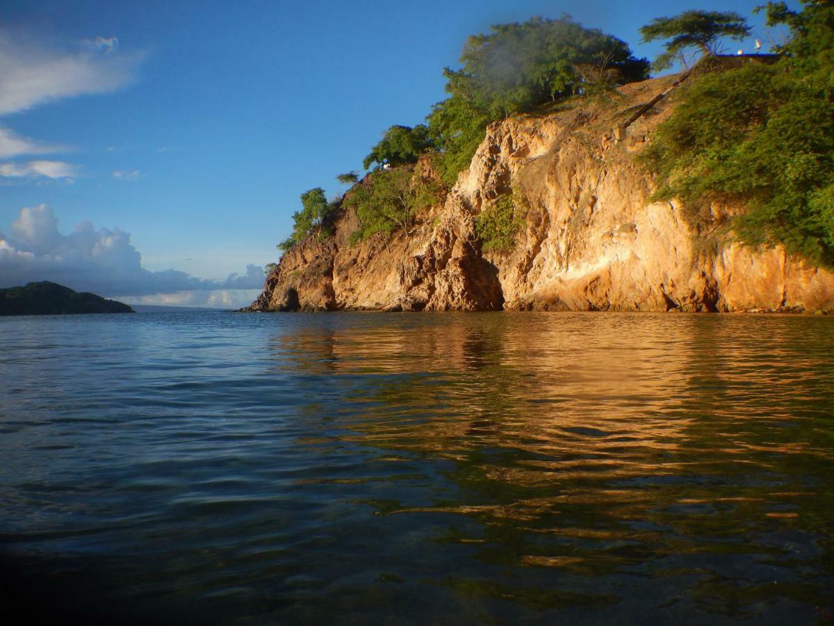 Bungalow Anse Figuier Terre-De-Haut Ngoại thất bức ảnh