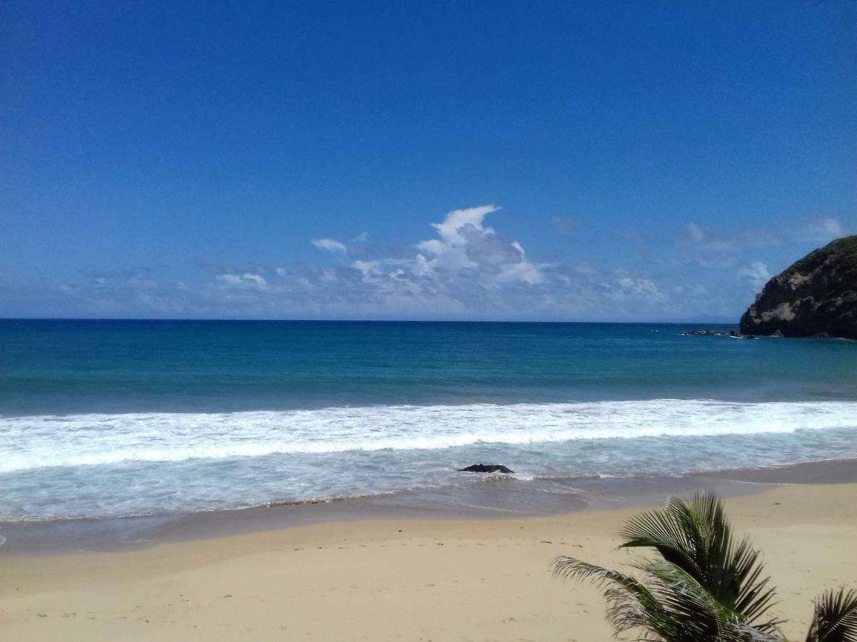 Bungalow Anse Figuier Terre-De-Haut Ngoại thất bức ảnh